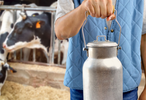В Беларуси 73 % молока производится на современных комплексах