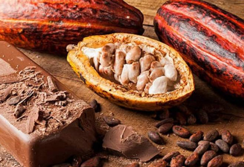 Цены на шоколад вырастут из-за закона ЕС о поставках какао