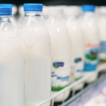 Сергей ИСАЕВ: «Позиции молочной продукции РБ за пределами страны не ослабевают»