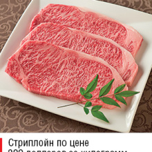 Стратегия белорусского экспорта говядины на основе анализа мясного рынка Китая